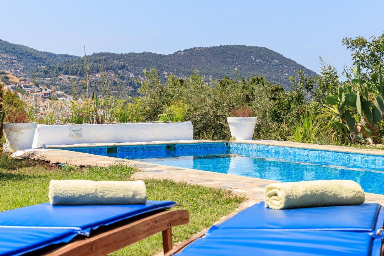 Villa Rodia With Swimming Pool On Skopelos Island エクステリア 写真